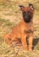 HERRA